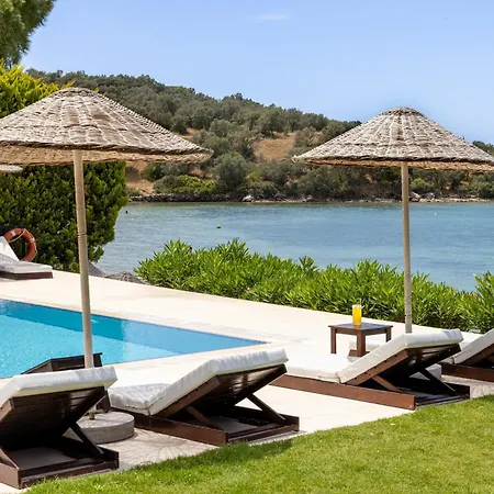 Med-inn Gulluk