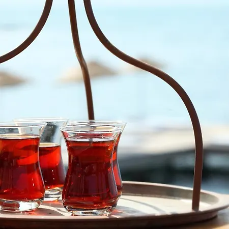 Med-inn 4* Gulluk