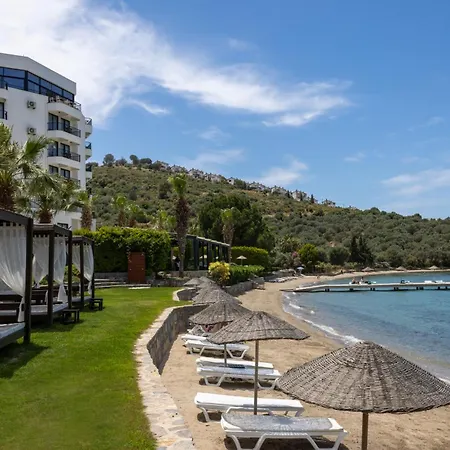 Med-inn 4* Gulluk