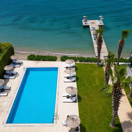 Med-inn 4* Gulluk