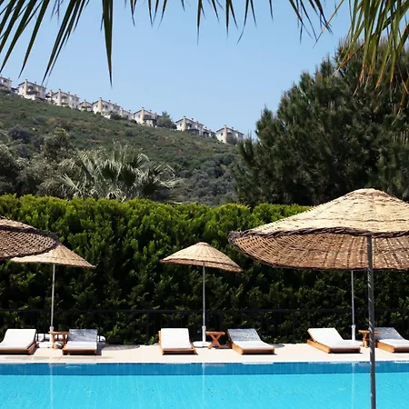 Med-inn Hotel