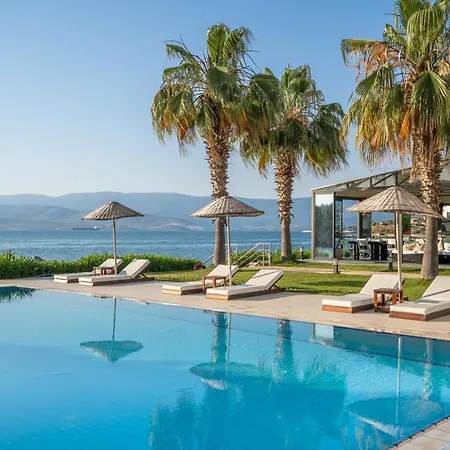 Med-inn Гюллюк