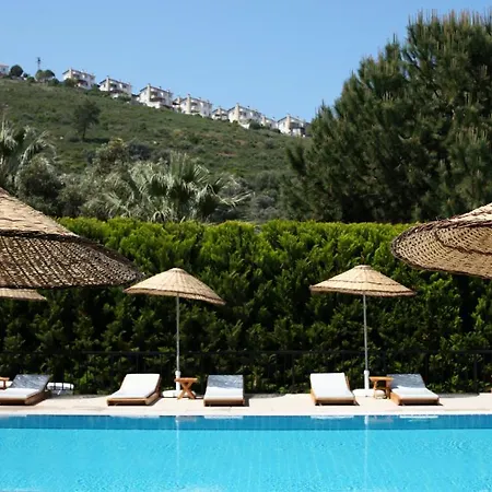 Med-inn 4* Gulluk