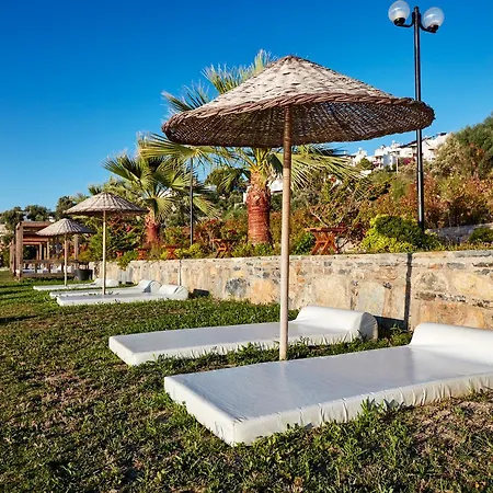 Hotel Med-inn 4*